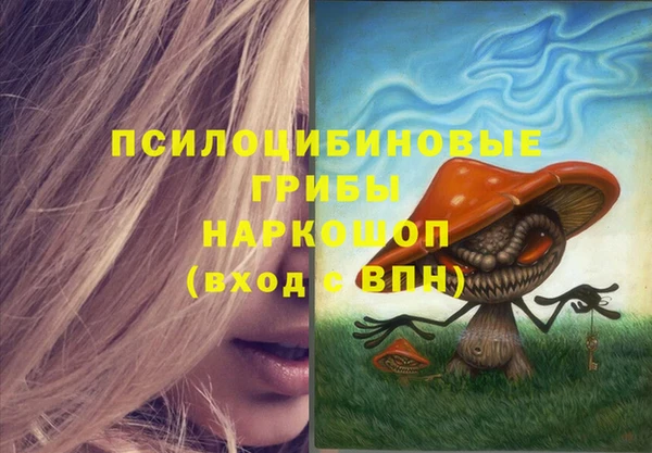 сатива Белоозёрский