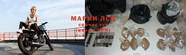 сатива Белоозёрский