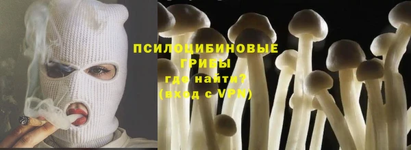 эйфоретик Беломорск