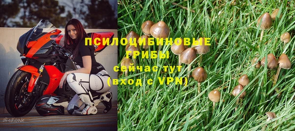 скорость Белокуриха