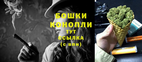 сатива Белоозёрский