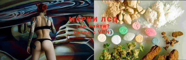 скорость Белокуриха