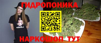 прущие грибы Моздок