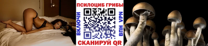 Галлюциногенные грибы Cubensis  Валуйки 