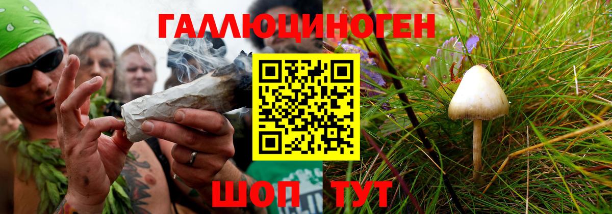 Псилоцибиновые грибы ЛСД Валуйки