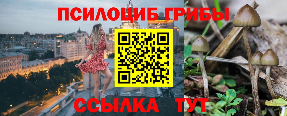 Галлюциногенные грибы Magic Shrooms  Вход с VPN  Валуйки 